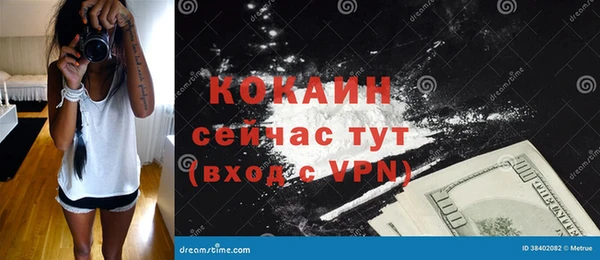 крисы Кодинск